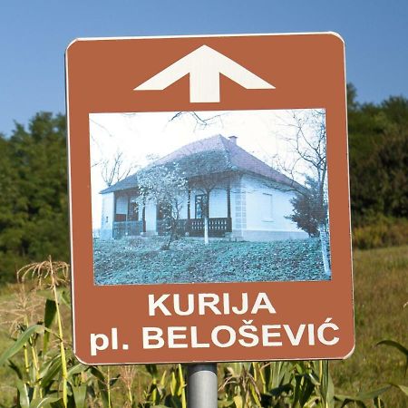 Kurija Inn Hrascina Exterior photo