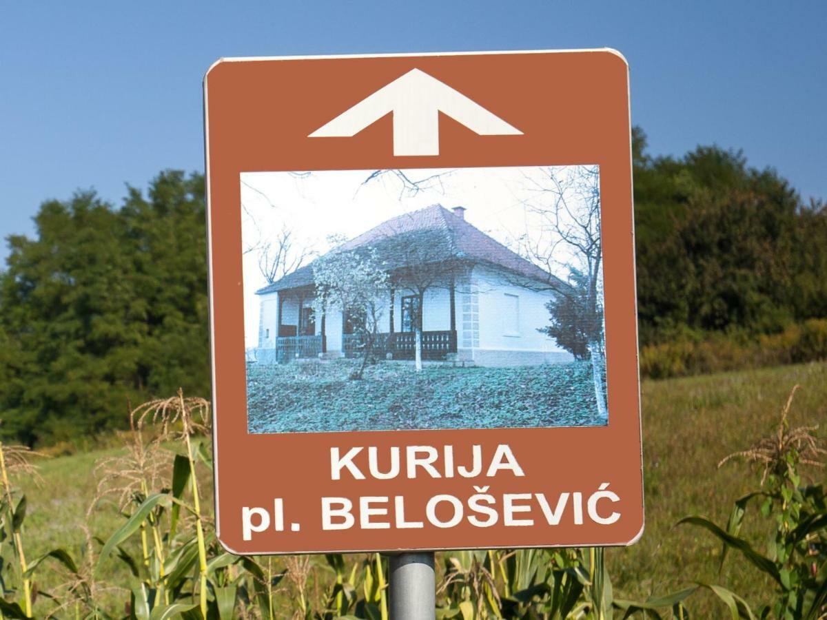 Kurija Inn Hrascina Exterior photo